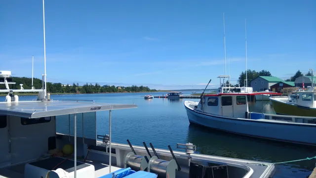 Tony Diodati Art Gallery