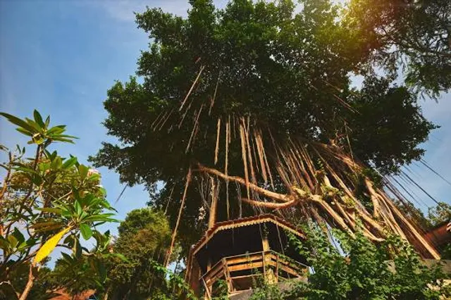 Wana Wisata Situ Mustika