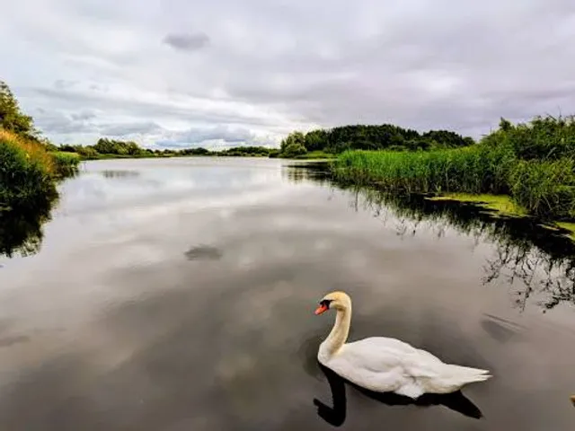 Cleethorpes Country Park