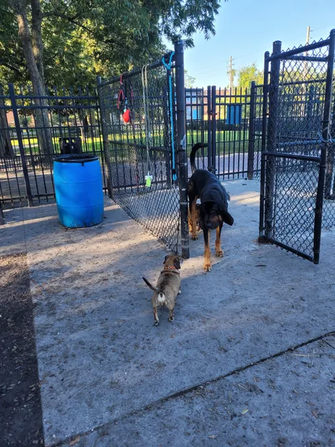 John Gorrie Dog Park of Riverside Park