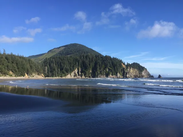 Oswald West State Park