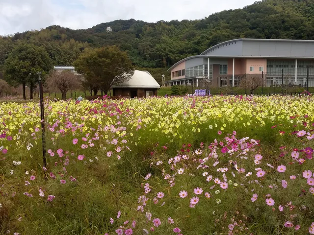 photo-2