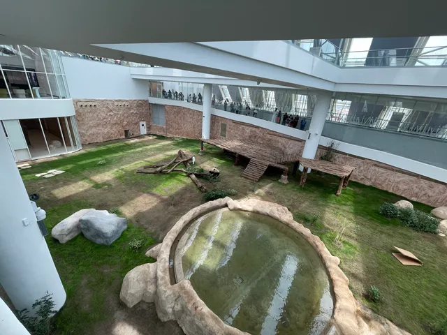 حديقة الباندا