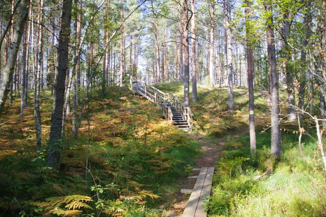 Seljamäe õppematkarada