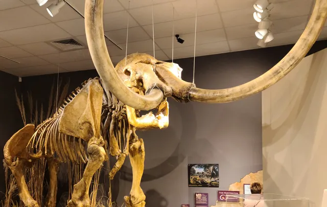 Faulkner Planetarium