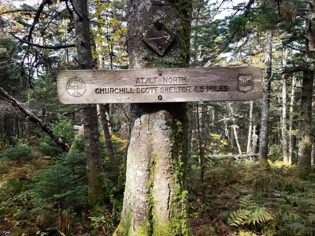 Coolidge State Forest