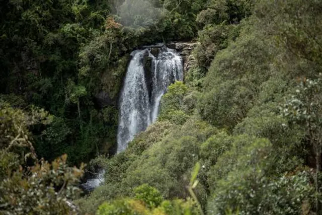 Waterfall of the Garcias - Low
