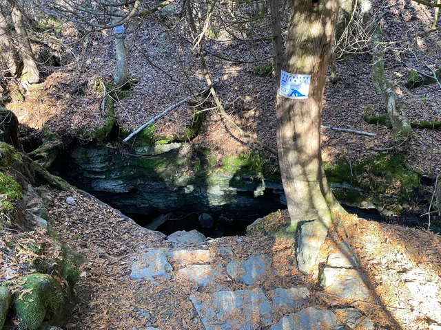 The Devil's Hole Cave