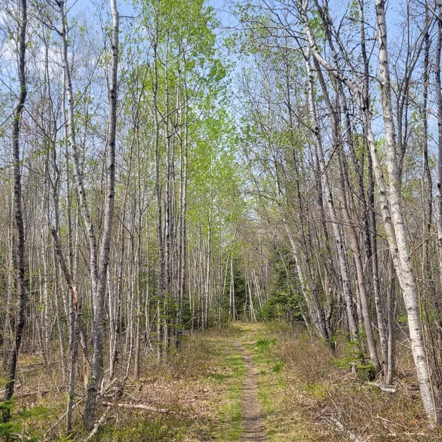 Walden-Parke Preserve