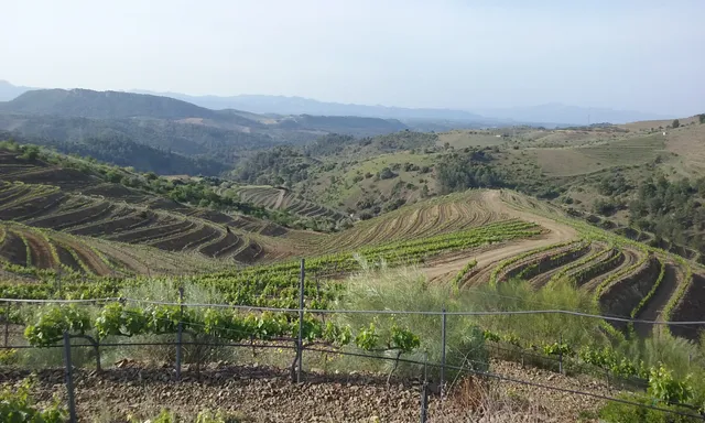 Familia Torres - Priorat (CENTRE DE VISITES)