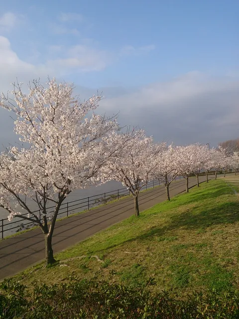Suehiro Ryokuchi Park