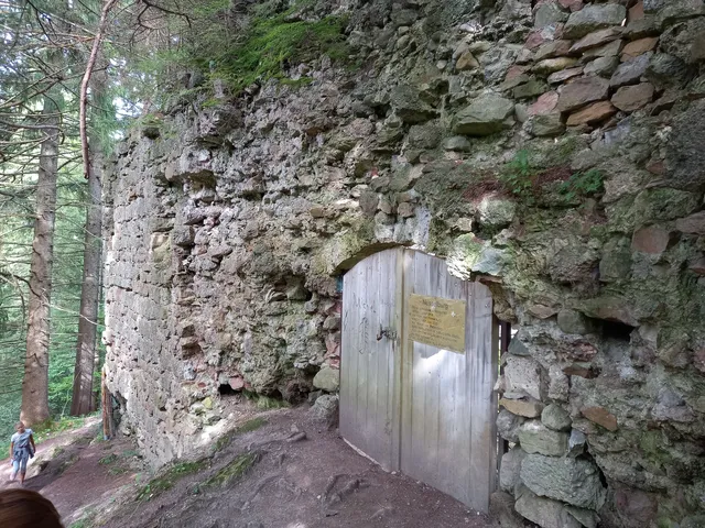 Ruine der Nesselburg