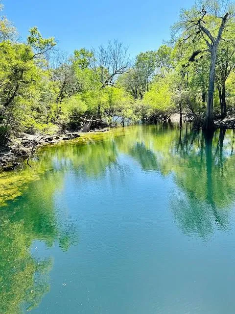 Little River Springs