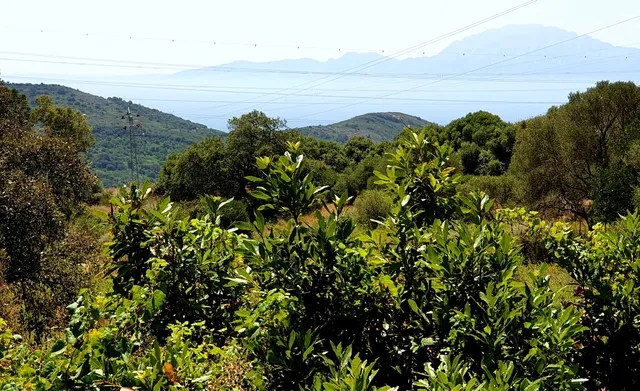 Centro De Visitantes Huerta Grande