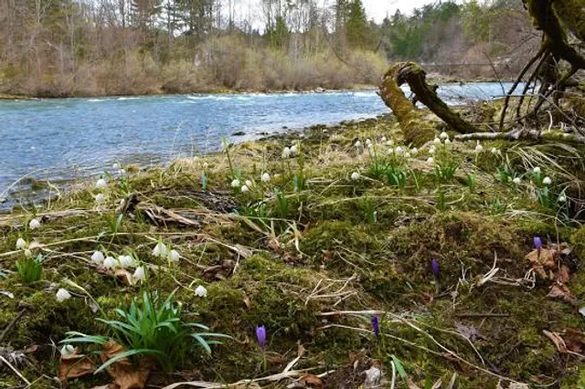 ️ Parc de l’églantier de Gonesse