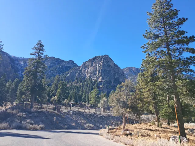 Mt. Charleston Wilderness