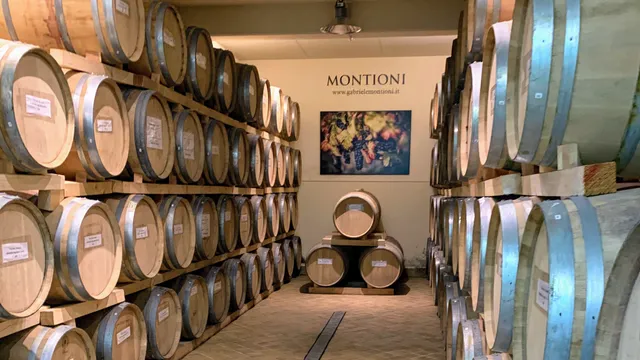 Montioni - Frantoio & Cantina