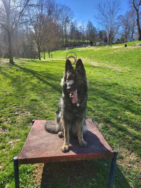 Huntington PetSafe Dog Park