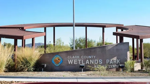 Wetlands Park Lane