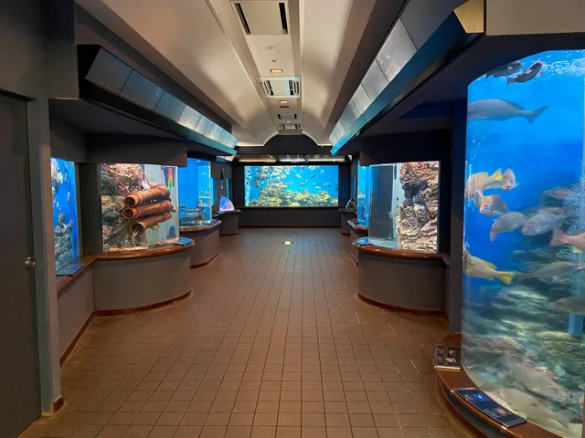 Shibukawa Marine Aquarium (Tamano Ocean Museum)