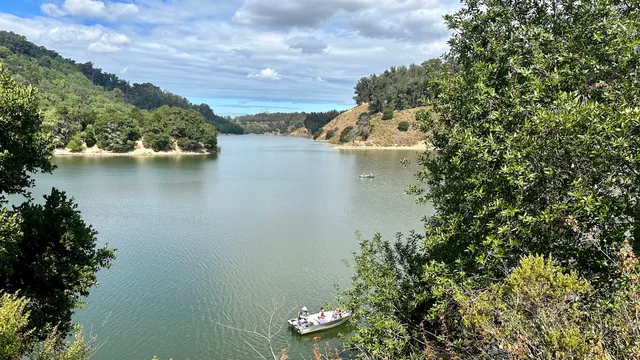East Shore Trail Chabot Lake