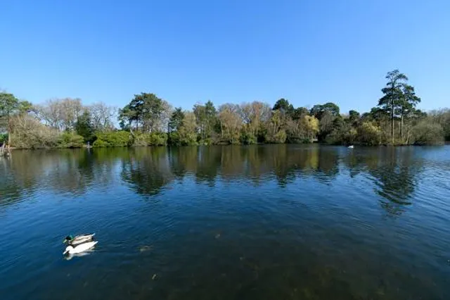place image