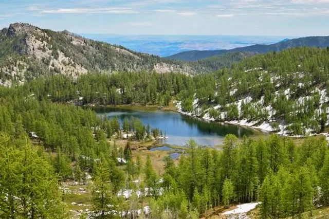 Okanogan National Forest