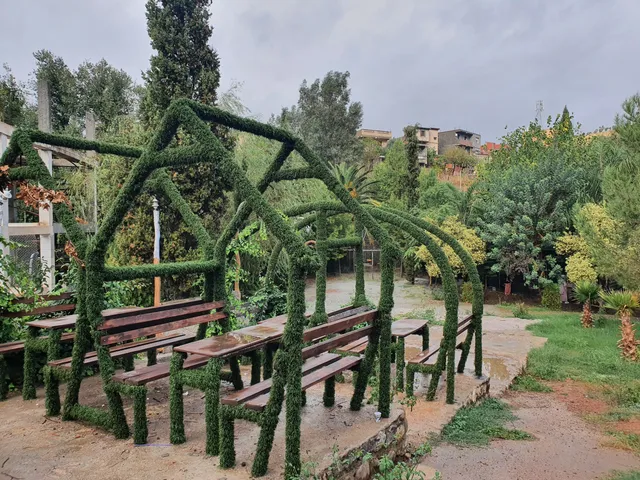 photo-1