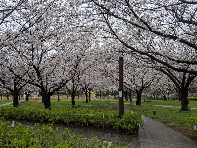 Saigōgawa Kakou Park