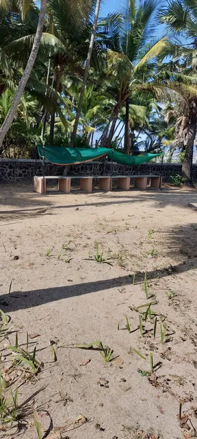 Chinmaya Sahoo Restaurant