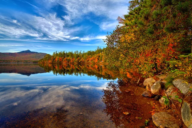 The Island (Chocorua Lake Conservancy)