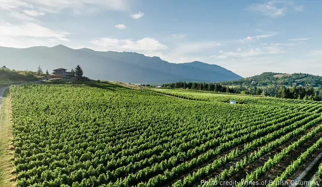 Baillie-Grohman Estate Winery