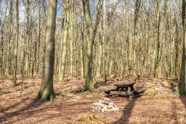 Skrylle naturreservat