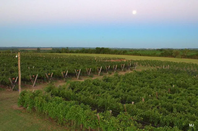 Junta de Gobierno de Colonia Ensayo