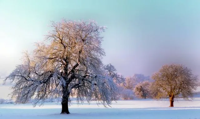 General Clinton Park