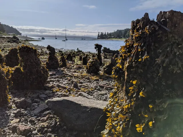 Blakely Harbor Park Trail