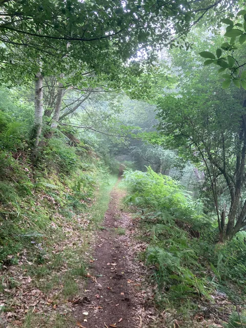 PR-G 213 Bosques Máxicos y Matacan237