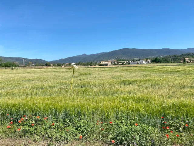 Camp d'aviació de Rosanes