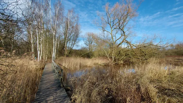 Natuurgebied Nazareth zuid