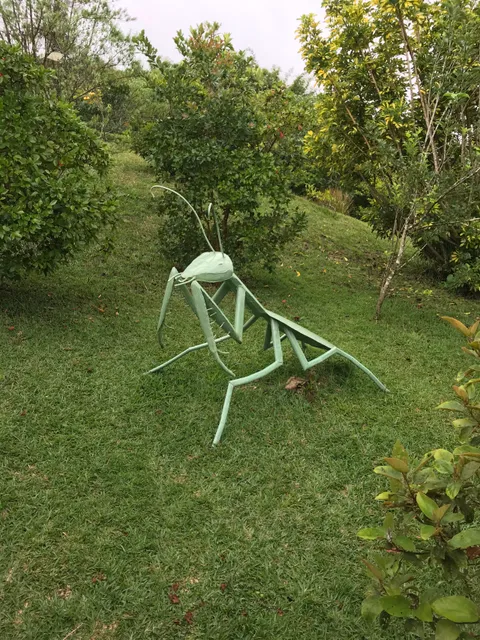 Le jardin des bestioles