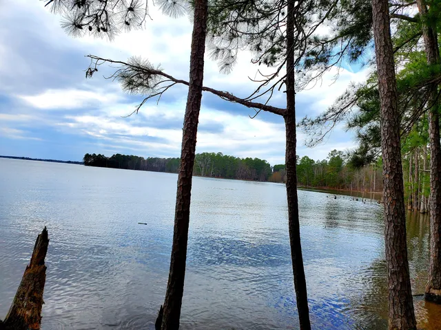 Dreher Island State Park