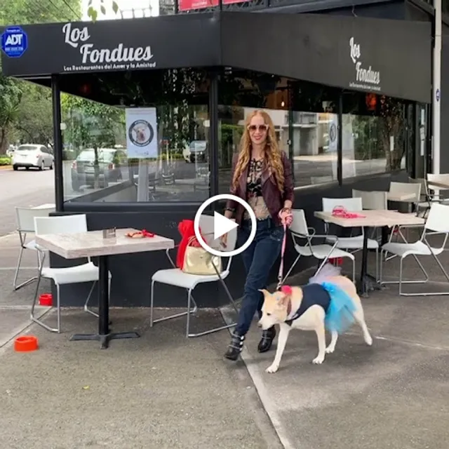 Los Fondues Del Valle