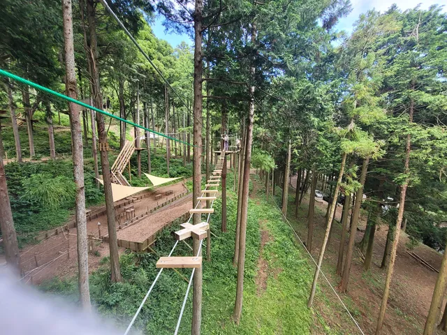 Forest Adventure Hakone
