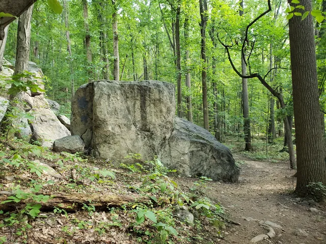Wildlands Conservancy’s South Mountain Preserve