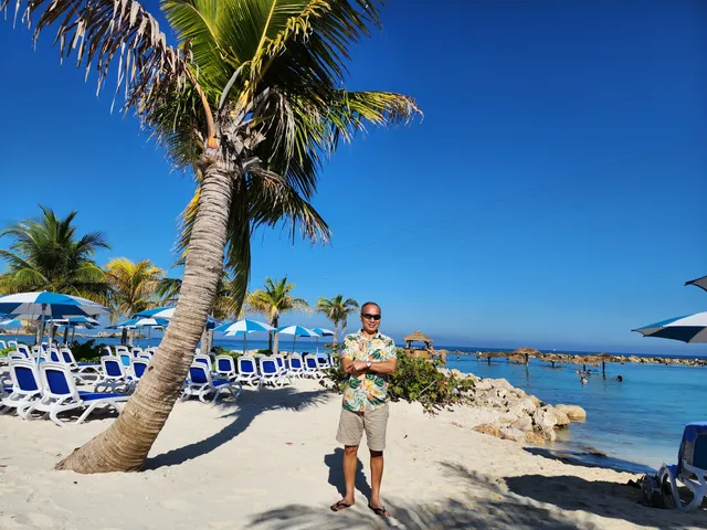 Dragon’s Tail Coaster