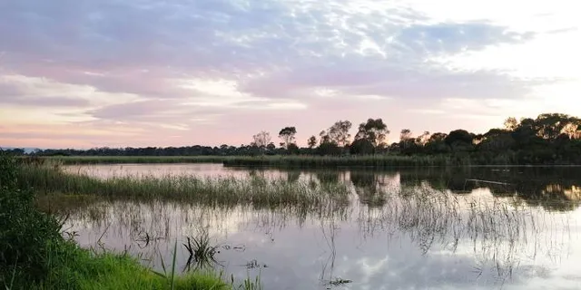 Edithvale-Seaford Wetlands
