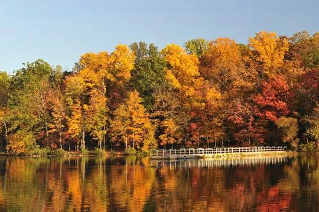 French Creek State Park