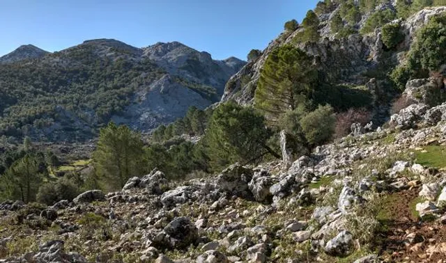 Subida al Simancón y Reloj, cumbres de la sierra del Endrinal