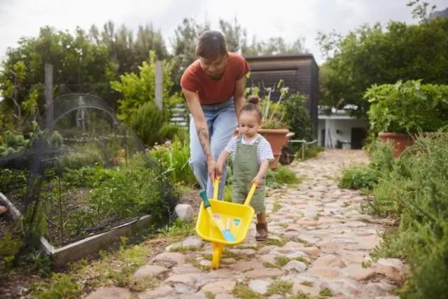 Sayious Adventure Park