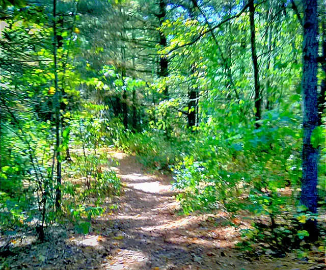 Holliday Nature Preserve